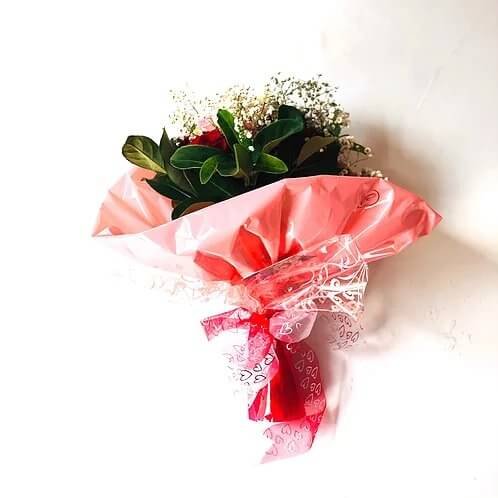 lovely lady posy ivanhoe