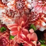 Flower Delivery for Your Loved Ones (Melbourne)