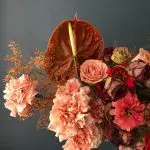 Best Christmas Flowers And Plants For 2024