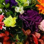 Best Birthday Flowers for Fall Season