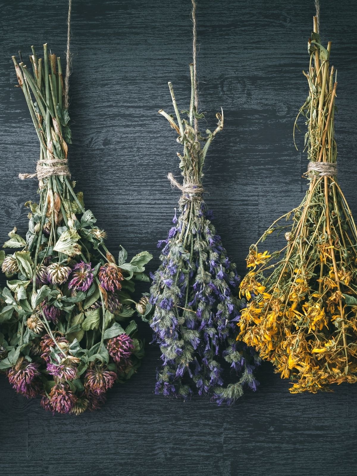 7 Awesome Benefits of Dried Flowers