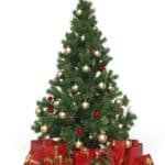 Flower Club Christmas Gift Guide