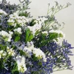 Asters flower arrangement