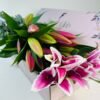 oriental lily for sale in Melbourne