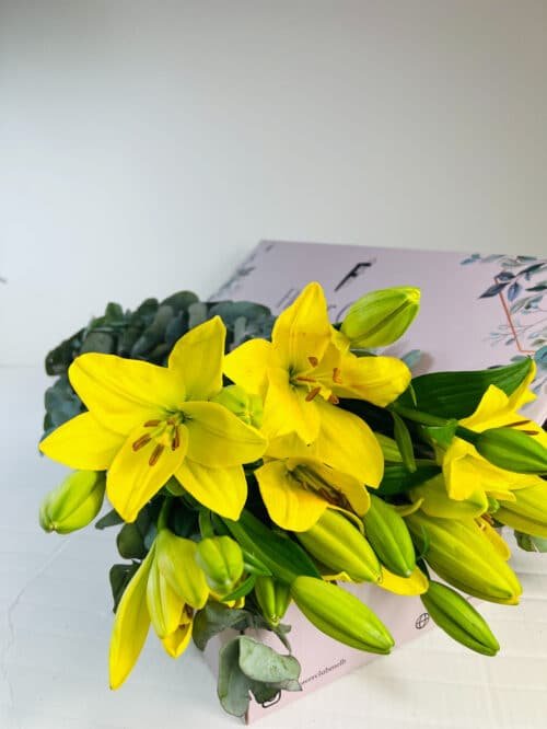 yellow asiatic lilies for sale in Melbourne