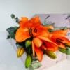 orange la lilies for sale