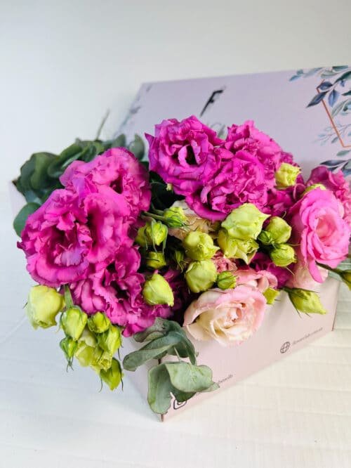 pink lisianthus for sale
