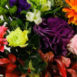 7 Ways To Transfer Your Empathy With Flowers