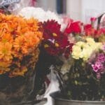 What Your Favorite Flower Has To Say About Your Personality?