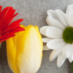 5 Best Flowers to Buy for Mother’s Day