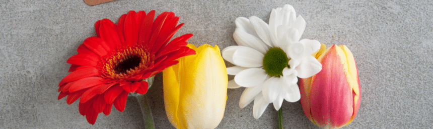 5 Best Flowers to Buy for Mother’s Day