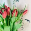 red tulips stems for sale