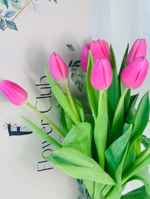 pink tulips for delivery Melbourne