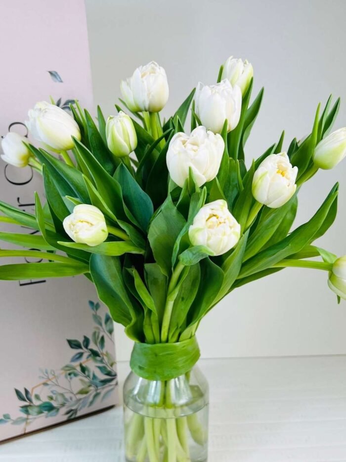 white tulips for sale