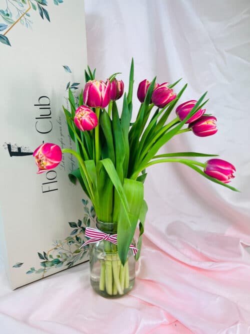 double tulips for sale