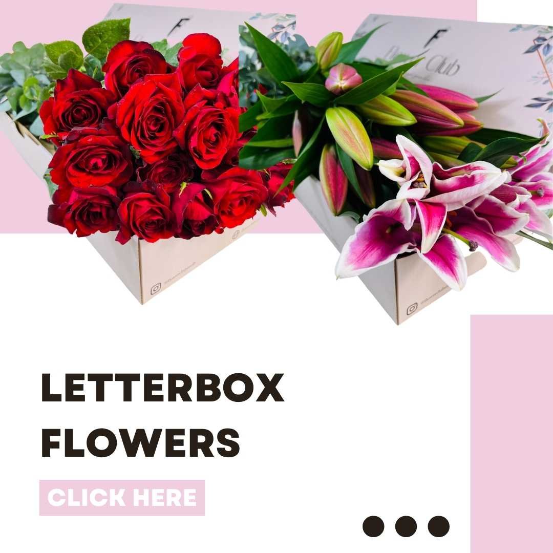 letterbox flowers banner