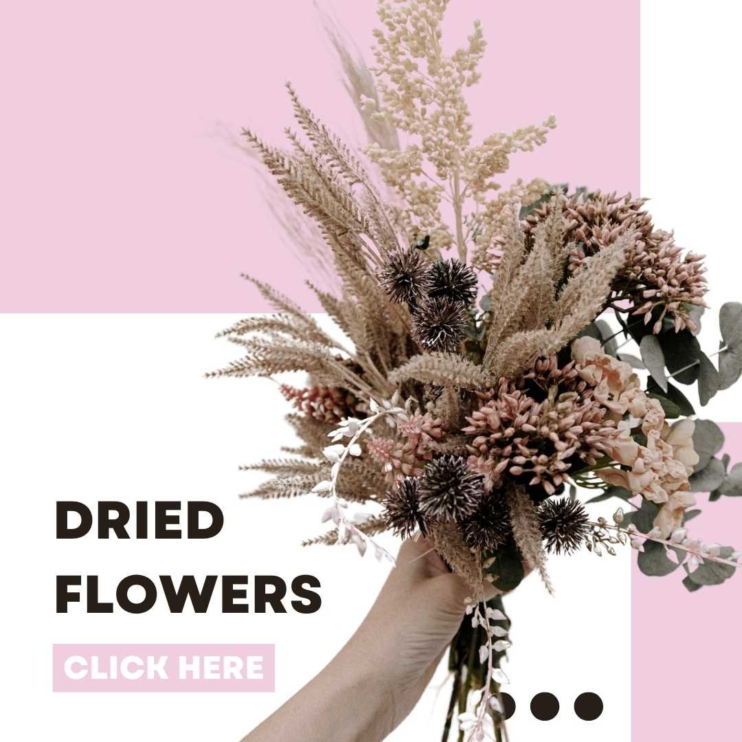 dried flowers flower club