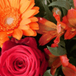 7 Birthday Flowers Trending In 2022