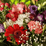Birthday Flowers for Mum