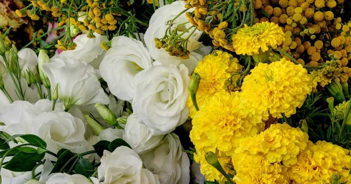 white and yellow cut flowers