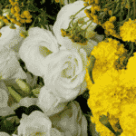 5 Best Flower Arrangements for Spring