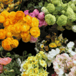 5 Flowers to Buy for Dad This Father’s Day
