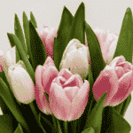 5 Flowers That You Can Buy for Yourself Today