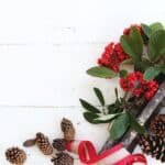 What to Know: The Best Christmas Flowers to Get This Year!