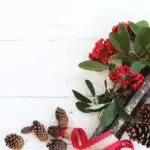 pouinsettia