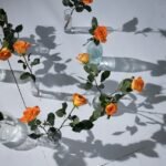 How to Properly Take Care of Roses in a Vase