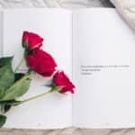 11 Reasons Roses Are Best Gifts for Valentine’s Day
