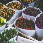 A Guide to Choosing the Right Flowers for a First Date