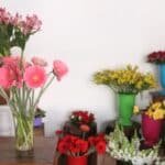 Tips on Keeping Fresh Flowers Vibrant and Colourful