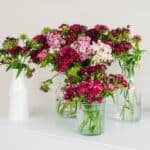 Floral Design 101: Tips and Tricks for Decorating with Blooms