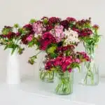 Floral Design 101: Tips and Tricks for Decorating with Blooms
