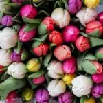 Surprise Your Loved Ones with High-Quality Letterbox Flowers