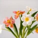 The Ultimate Guide to Gifting Flowers to Your Best Friend