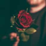 The Floral Way of Apologizing: Creative Ideas to Show You Care – Part 1