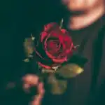 The Floral Way of Apologizing: Creative Ideas to Show You Care – Part 1