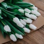 The Floral Way of Apologizing: Creative Ideas to Show You Care – Part 2