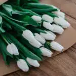 The Floral Way of Apologizing: Creative Ideas to Show You Care – Part 2