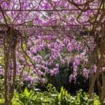 Arbor Flowers 101: Everything You Need to Know