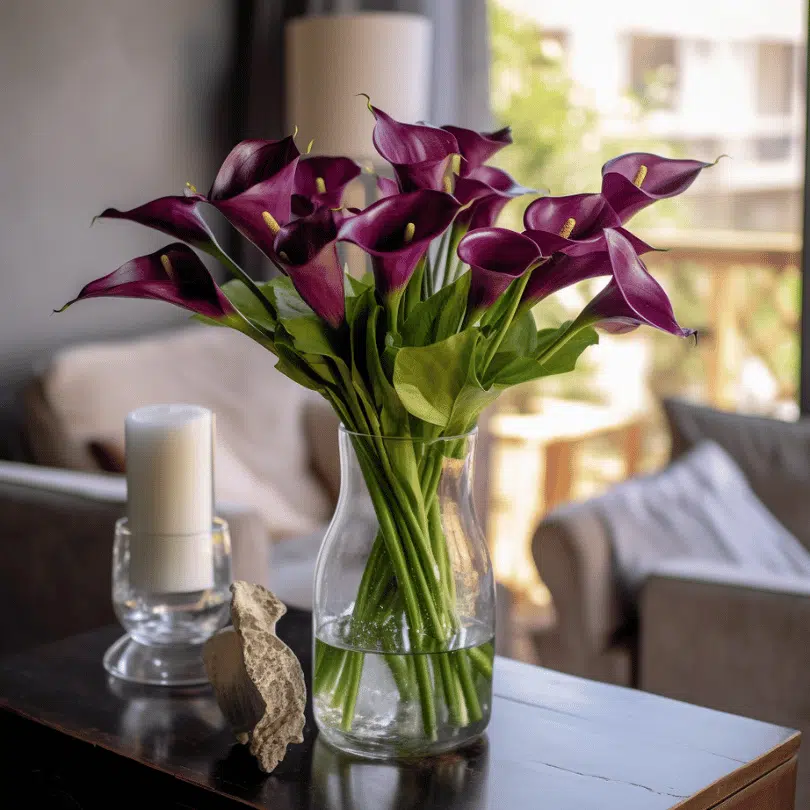 purple calla lilies in a glass vase lifestyle