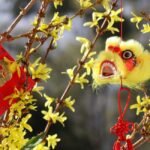 Best Flowers For Celebrating the New Year