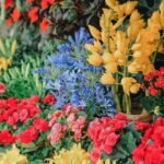 Best Flowers To Gift Your Girlfriend/Wife