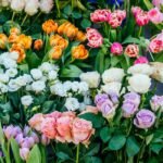 Yearly Guide For Choosing Wedding Anniversary Flowers